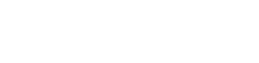 Aurum Insurance Partners
